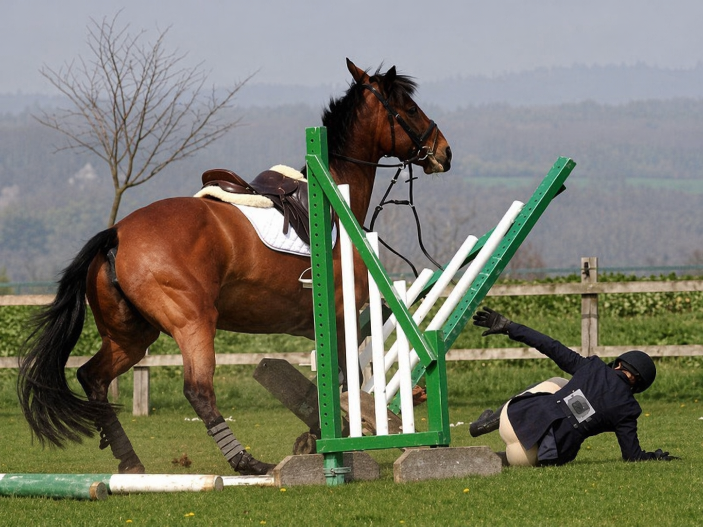 Cavalière sereine avec son cheval, moment de connexion paisible