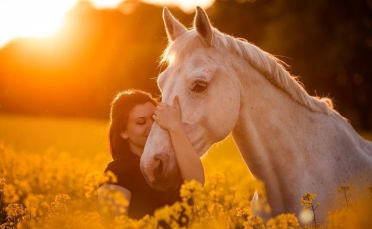 Illustration représentant une cavalière en introspection avec son cheval