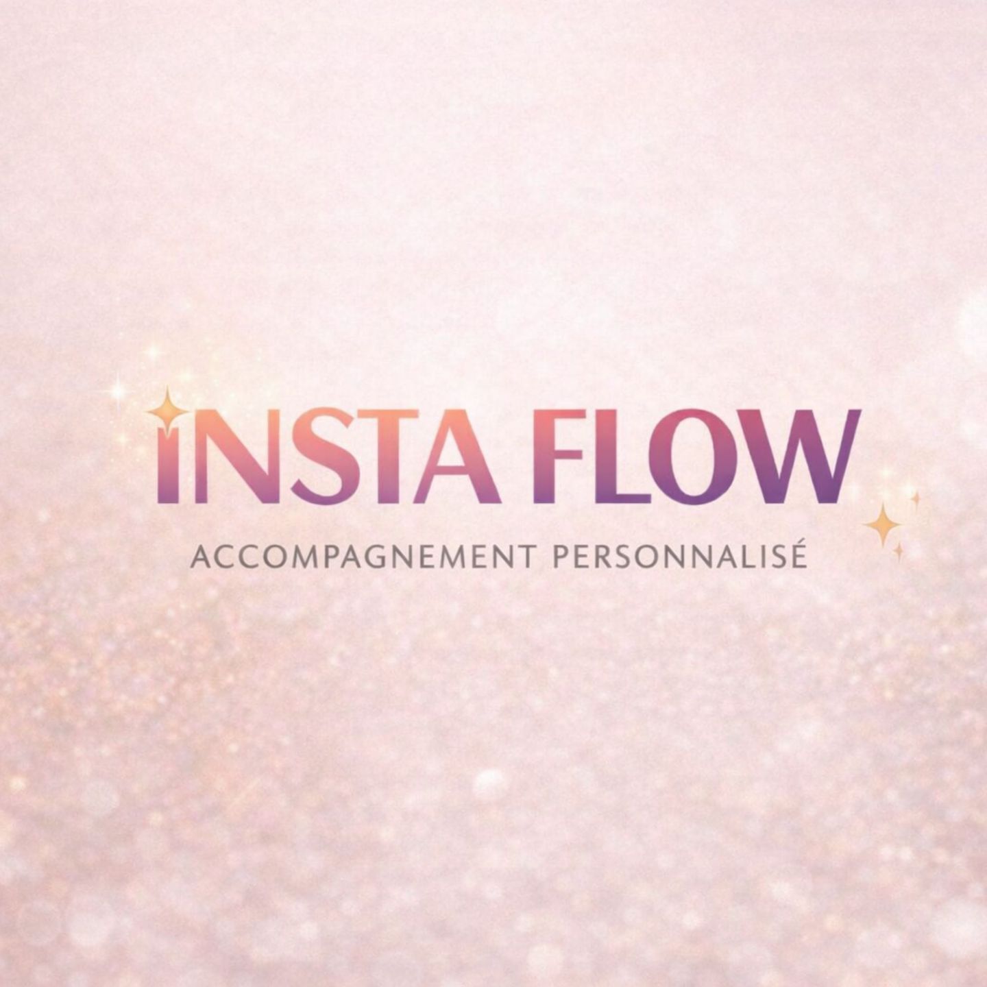 Dashboard de la plateforme Insta Flow montrant les modules de formation étape par étape