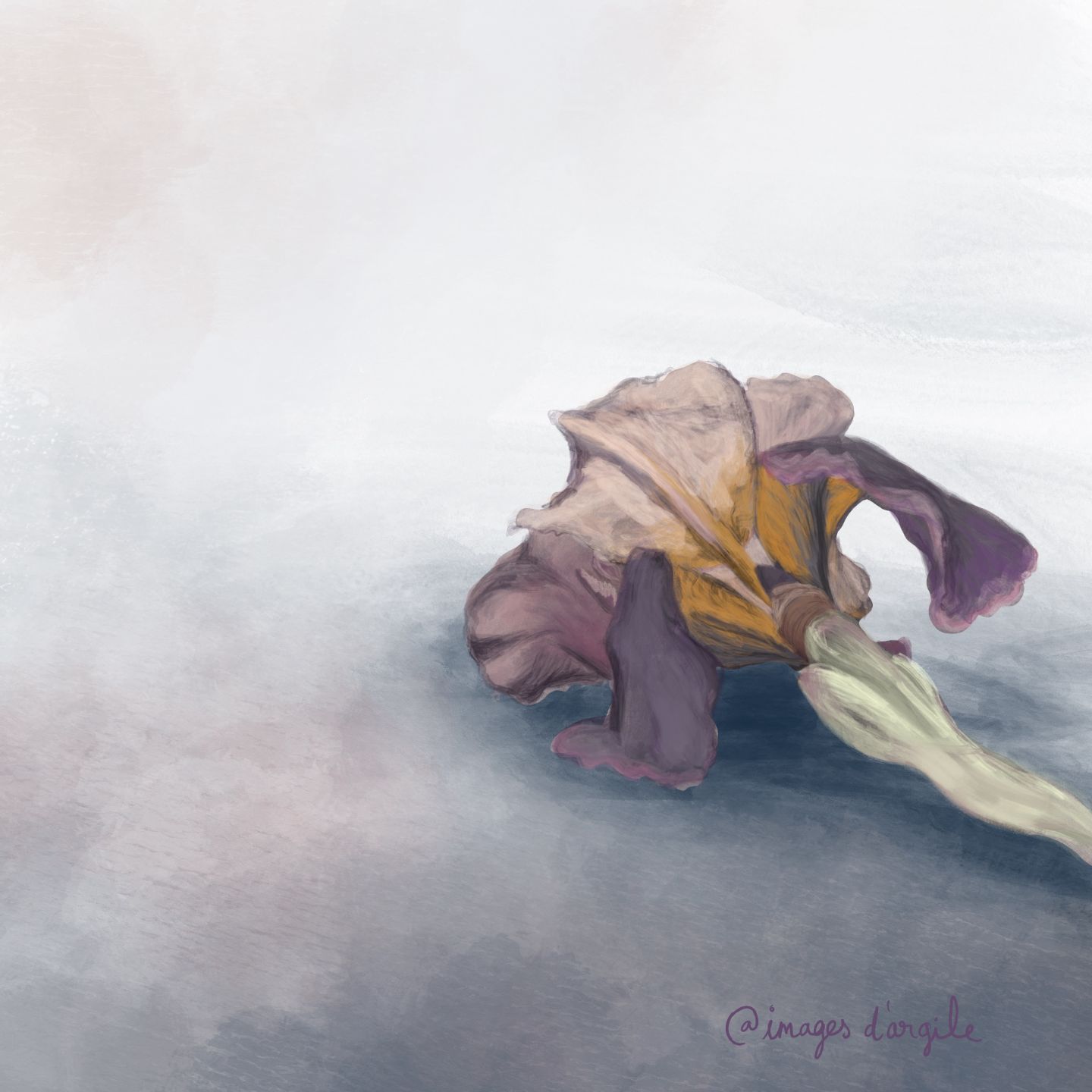Collection Pas sages - illustration 5