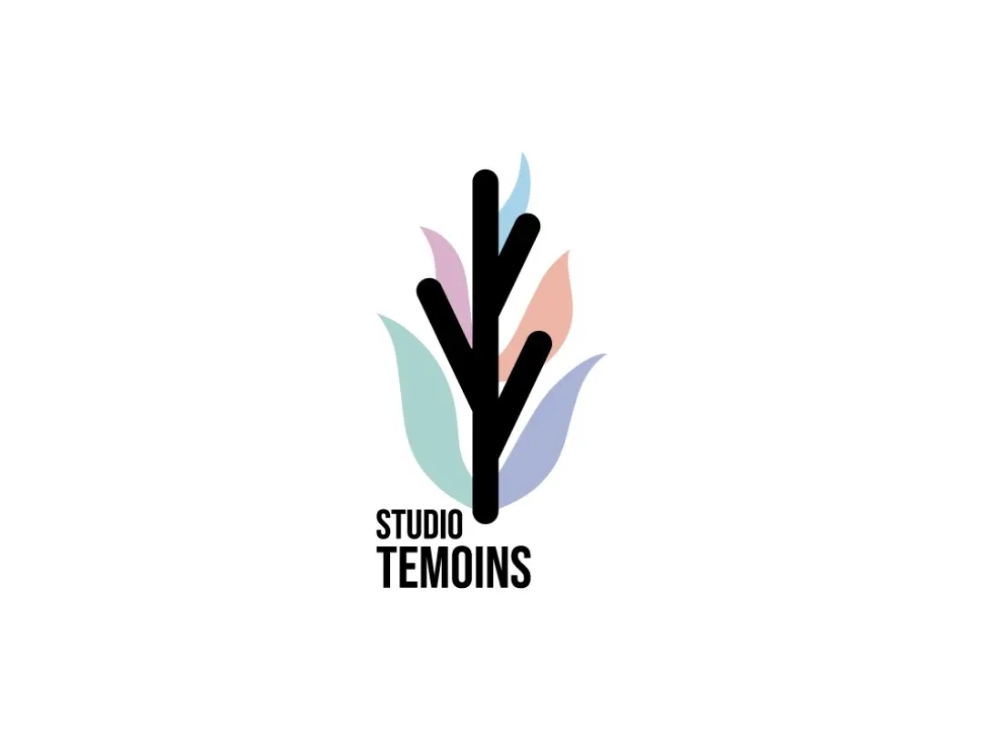 Studio Témoins production musicale