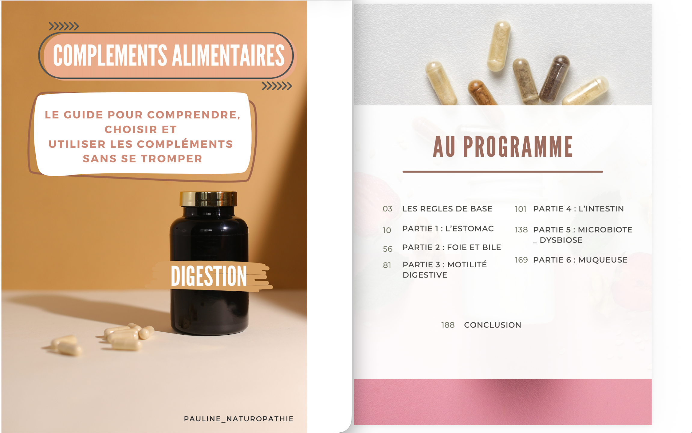 Aperçu du guide complet sur les compléments alimentaires pour troubles digestifs