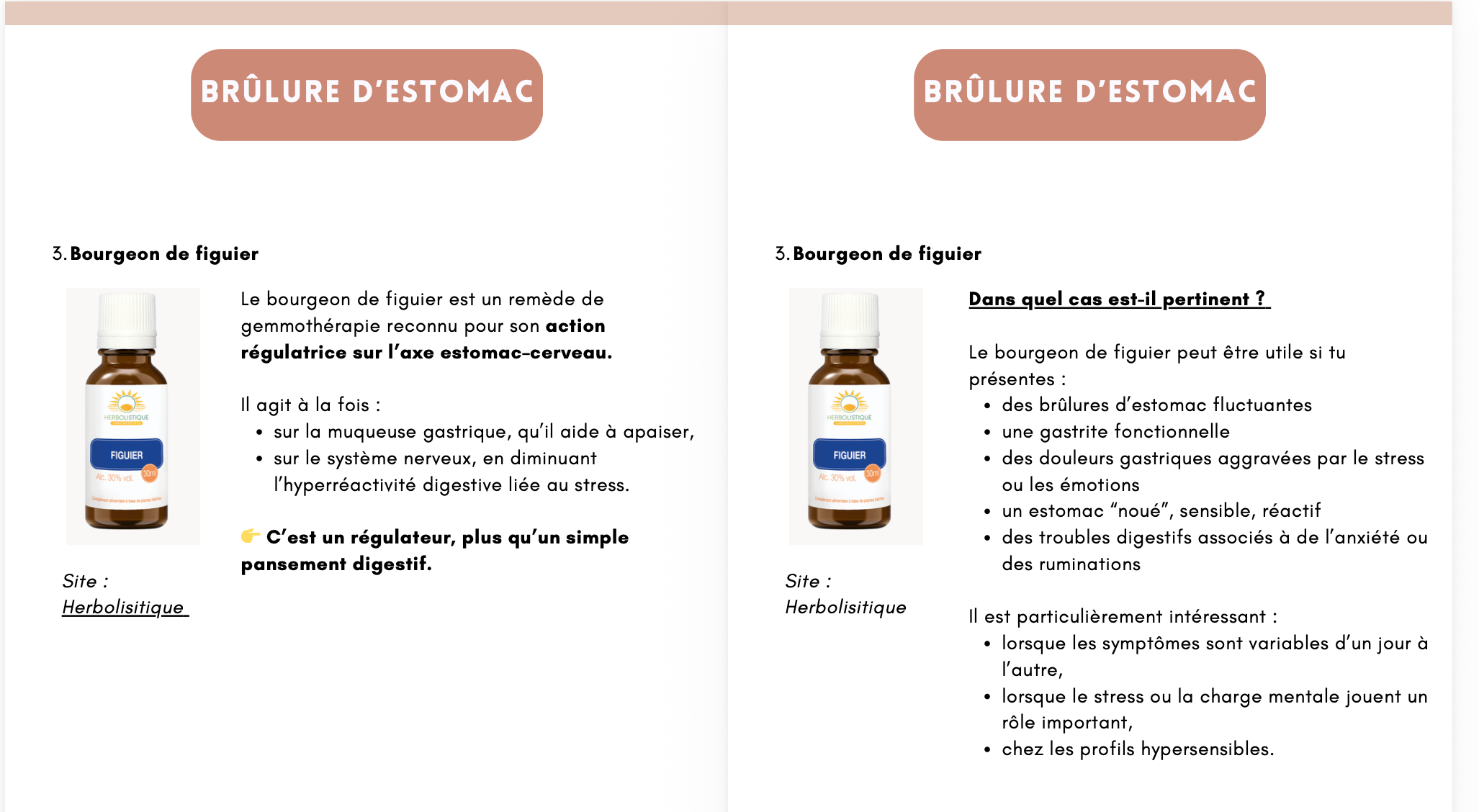 Mockup du guide complet sur les compléments alimentaires pour troubles digestifs