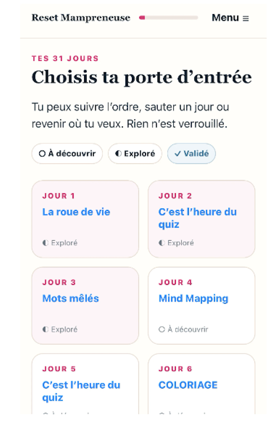 Capture d'écran de l'interface Reset 2