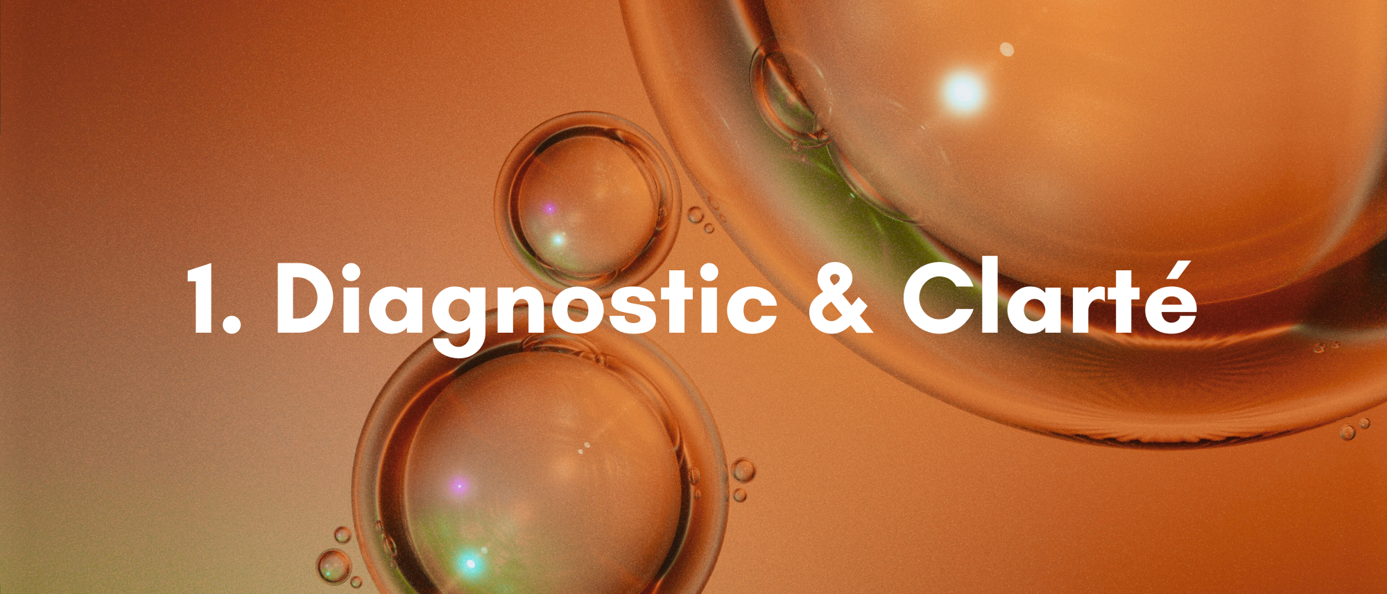 Étape 1 - Diagnostic et clarification professionnelle